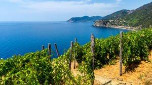 The Heroic Winemaking of the Cinque Terre