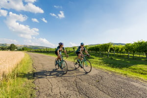 Your Top Eight Questions on Group Bike Tours